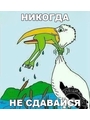 Абдуллаева Альбина Тагировна