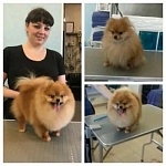 Микитина Анастасия Юрьевна